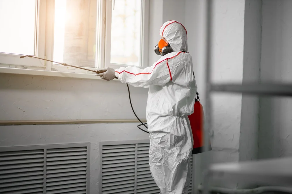 Professional mold remediation services in Tomball, TX